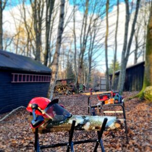 Tageskurs in der Waldwerkstatt: Handwerk entdecken – sicher, praktisch, selbstgemacht