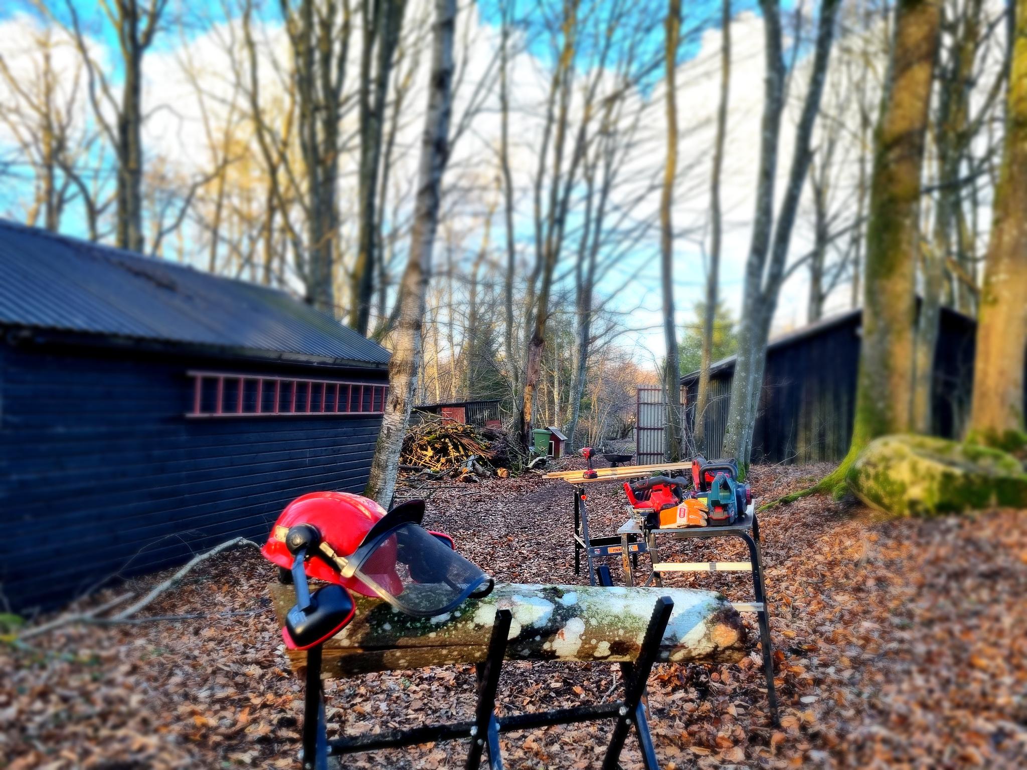 Tageskurs in der Waldwerkstatt: Handwerk entdecken – sicher, praktisch, selbstgemacht